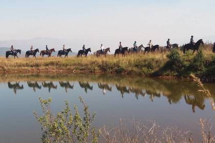 Arbeiten auf der Pferderanch Südafrika