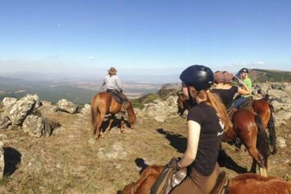 Pferderanch Südafrika