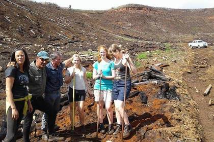 Reiten Südafrika Freiwilligenarbeit