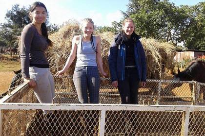 Reiten Südafrika Freiwilligendienst