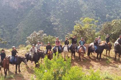 Reiten Südafrika Volunteer