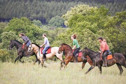 Reitschule Südafrika