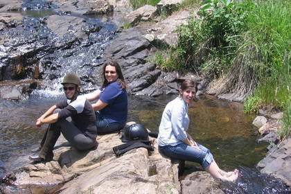 Workcamp Wildlife und Tiere Südafrika