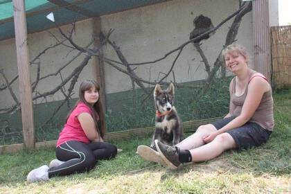 Hungary volunteering animal welfare
