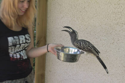 Ungarn Volunteers Wildlife