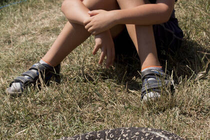 Baranya Schutzgebiet Tiere