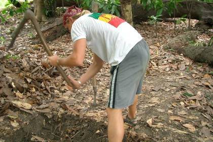 Freiwilligenarbeit Aufforstung Tansania
