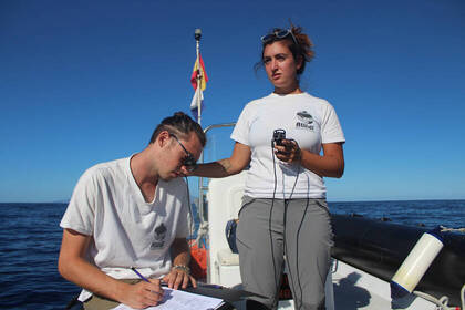 Documentation in maritime research projects help to better study the behavior of marine mammals
