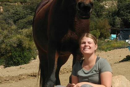 Volunteer Spanien Pferde