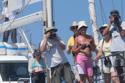 Freiwilligenarbeit in Nordwestitalien