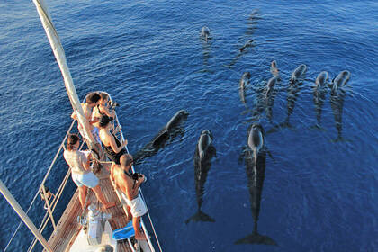 Nordwestitalien Forschungsarbeit Freiwillige