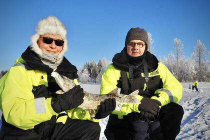 Freiwillige Fisch Schweden