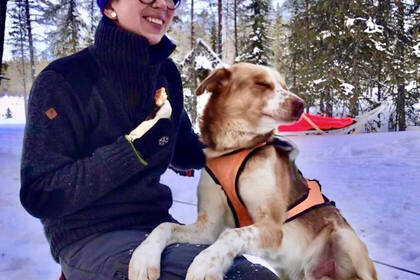 Hund Lappland Volunteering