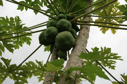 Freiwilligenarbeit Tansania Afrika