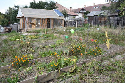 Gartenprojekt Rumänien