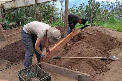 Volunteers im Nebelwald