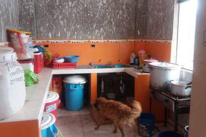 Freiwilligenarbeit im Hundeprojekt in Cusco
