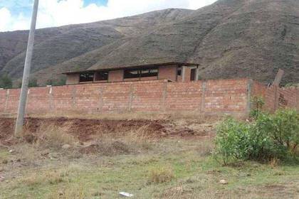 Freiwilligenarbeit im Hundeprojekt in Cusco