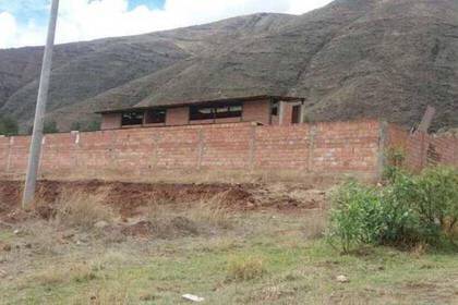 Freiwilligenarbeit im Hundeprojekt in Cusco