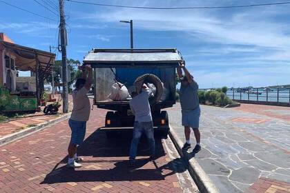 Umweltschutz Naturschutz Volunteering Ecuador