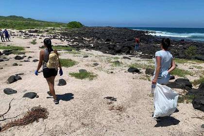 Galápagos Beach cleaning Volunteers environmental protection