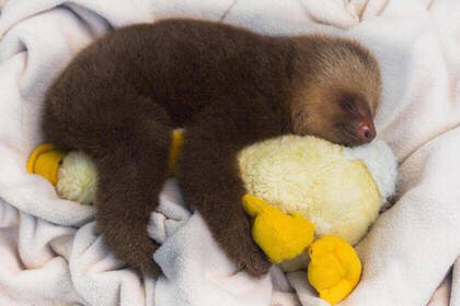 Freiwilligenarbeit in Costa Rica