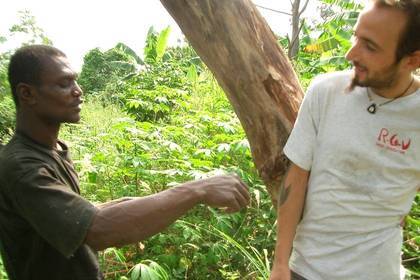 Plfanze Bäume - Freiwilligenarbeit in Tansania
