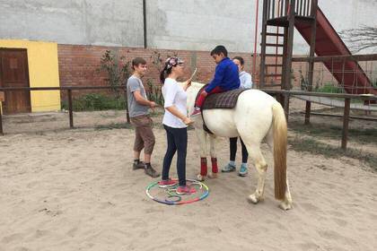 Hilf mit bei der Pferdetherapie in Peru
