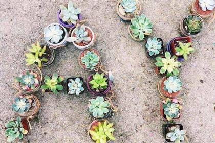 Blumentöpfe Wörter Peru Sabbatical