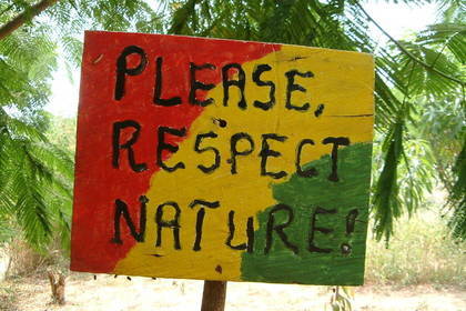 Tree nursing volunteer Tanzania