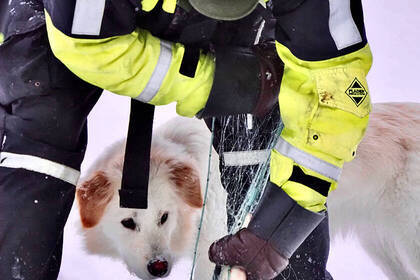 Eisfischen in Schwedisch Lappland