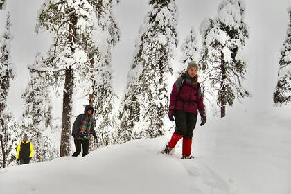 Snow hike in Sweden