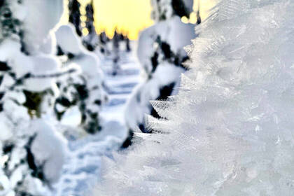 Hier gibt es viele Wunder der Natur zu bestaunen 