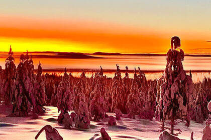 Simply magical! The sunsets in Swedish Lapland