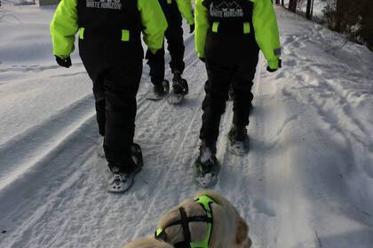 Auf Schneeschuhwanderung im nordischen Lappland