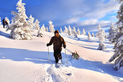 Snowshoe hike in a Swedish dream landscape