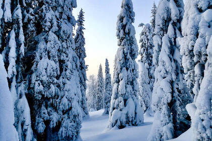 Winterwonderland in Schweden