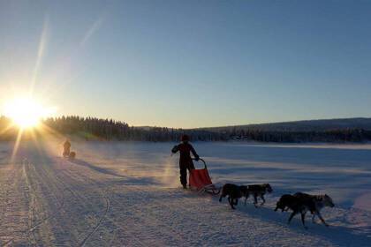 Endlose weiße Winterlandschaften ... 