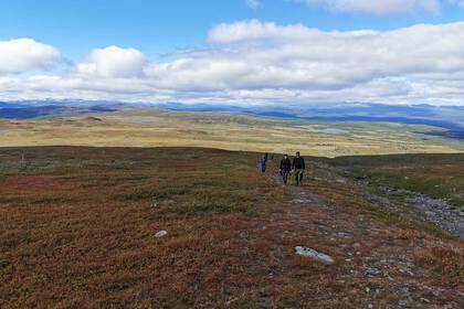 Ausgesetzt vom Helikopter - Survival Tour im schwedischen Lappland 