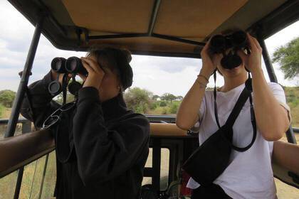 Auf Safari in der Serengeti