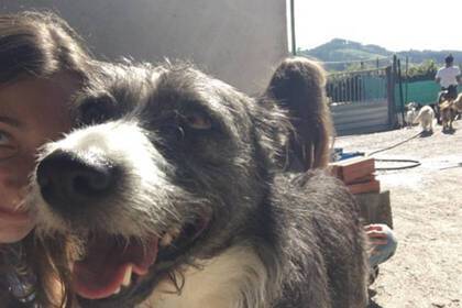 Freiwilligenarbeit im Hundeprojekt in Spanien