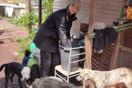 Freiwillige bei ihrer Arbeit im Straßenhundeprojekt