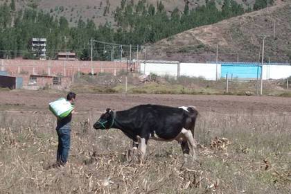 Es werden auch Fachleute für Landwirtschaft und Veterinärmedizin gesucht