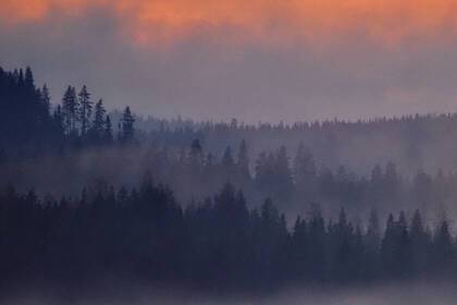 Wunderbare Abendstimmung in Schweden