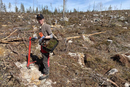 Hier lernst du alles über Aufforstung