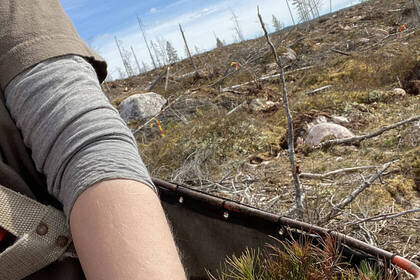 Umher in Schwedisch Lappland