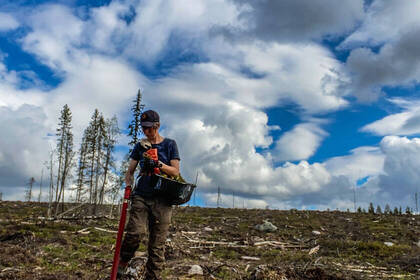 Volunteering im Planting Projekt