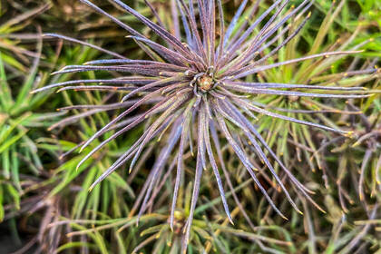 Die Natur schützen und wiederherstellen - eines der Hauptziele in diesem Projekt