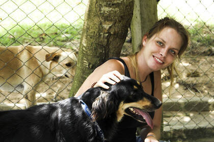 Get involved as a volunteer in animal welfare
