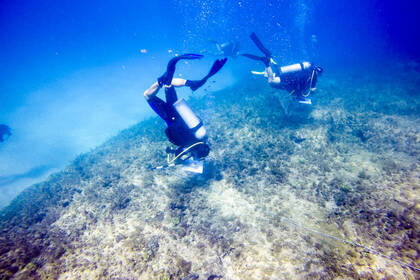 Experience the adventure of your life and take part in this exciting diving project